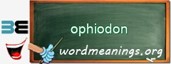 WordMeaning blackboard for ophiodon
